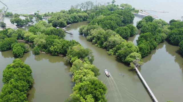 An aerial shot showing mangrove wetland and a modern urban cityscape with high-rise buildings and a highway. Great for projects on urbanization, real estate, Mangrove near city