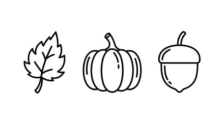Leaf pumpkin and acorn line illustrations on a white background © RABEYA