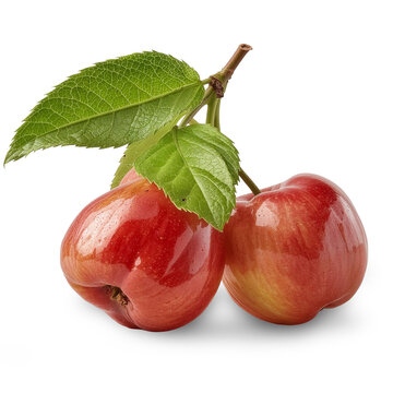 Fresh Red Rose Apples (Wax Apples) with Green Leaves Isolated on White Background.