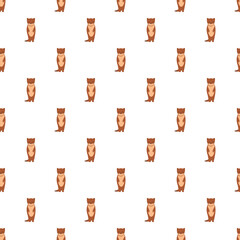 Obraz premium Repeating minks creating a brown wildlife animal background pattern