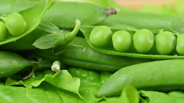 video of young green peas