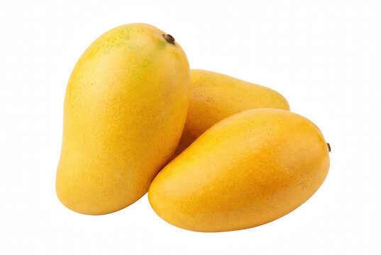 Three Ripe Yellow Mangoes Arranged Together