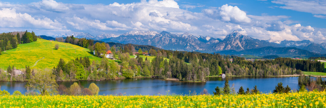 Panorama Landschaft im Fr&uuml;hling mit Schwaltenweiher bei Seeg im Allg&auml;u und Berge der Alpen im Hintergrund