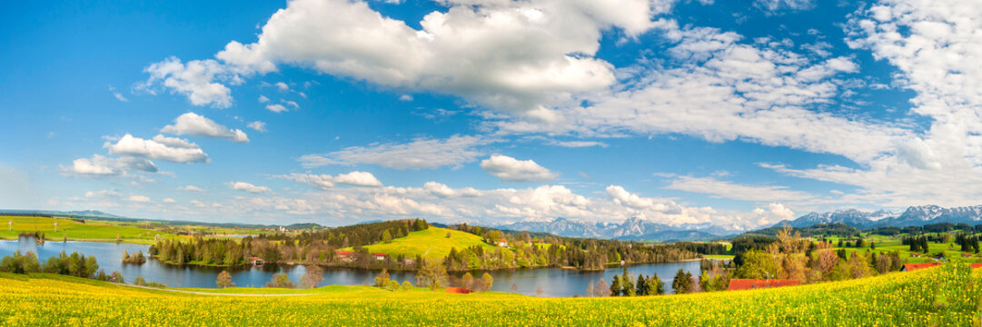 Panorama Landschaft im Fr&uuml;hling mit Schwaltenweiher bei Seeg im Allg&auml;u und Berge der Alpen im Hintergrund