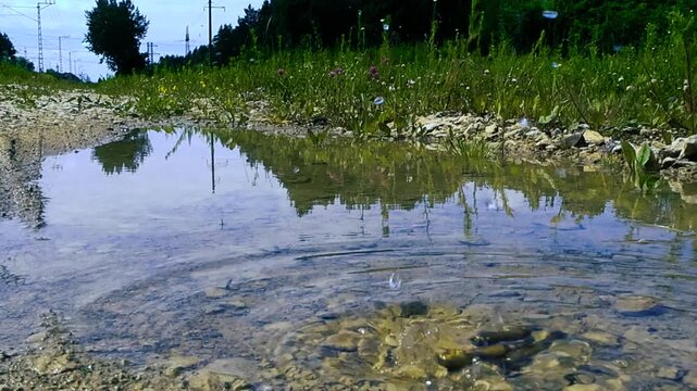 High caliber bullets falling into a shallow puddle of water in a natural setting, creating splashes and ripples on the surface as they sink to the rocky bottom in a slow motion sequence