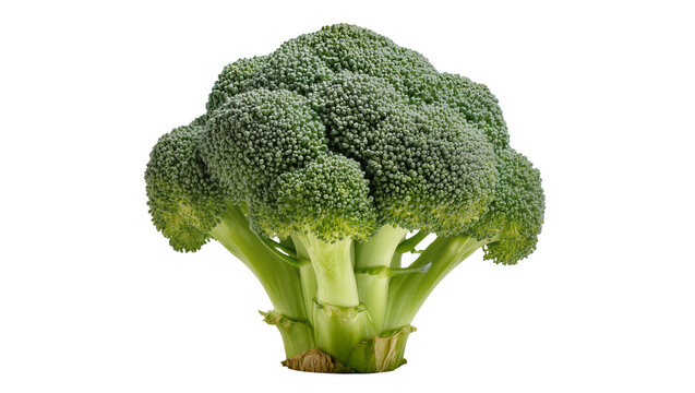 Fresh green broccoli florets and thick stems, isolated on transparent background