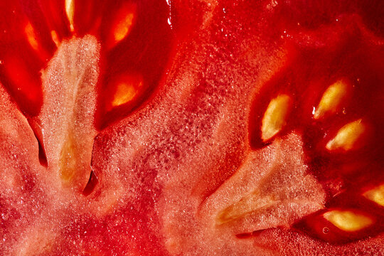 Macro view of fresh red tomato slice texture and seeds.