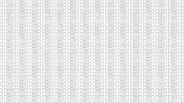 Columns of changing black binary code on a white screen, computer language. Encryption, digital code, big data, blockchain, firewall, data privacy, computer technology.