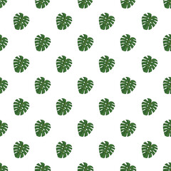 Green monstera leaves forming a decorative seamless tropical foliage pattern on white © nsit0108