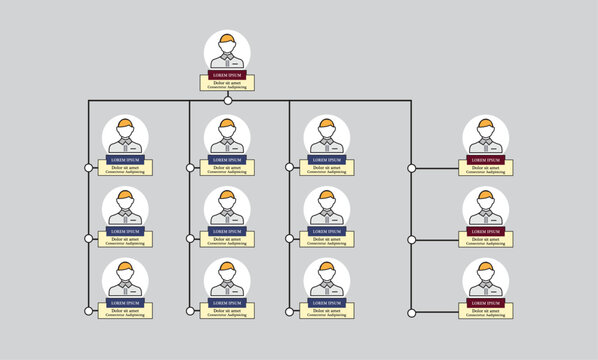 Organization Chart Infographics , Business Structure, Vector Illustration