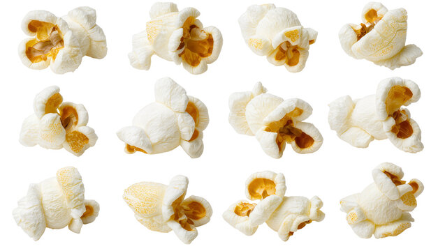 Fluffy white popcorn kernels with golden yellow centers