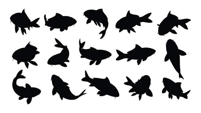 Collection of black fish silhouettes on white background