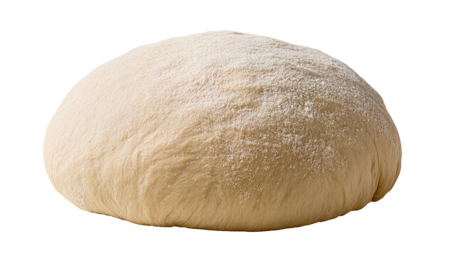 Raw bread dough ball dusted with flour