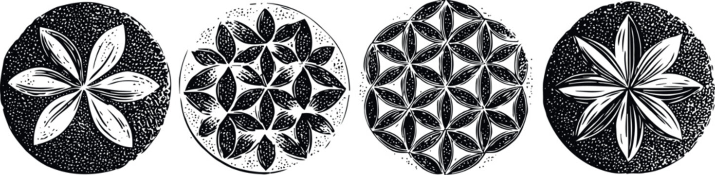 black and white floral mandala patterns circular geometric abstract ornamental design set