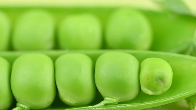 video of young green peas
