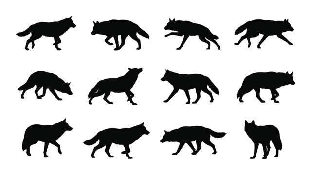 Black wolf silhouettes walking in different poses