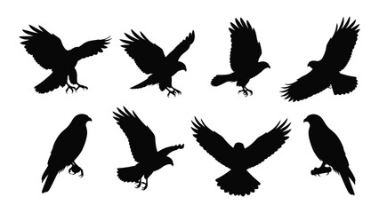 Naklejka premium Black silhouettes of birds flying and standing