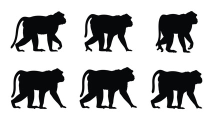 Monkey silhouettes walking in different poses © Tonu