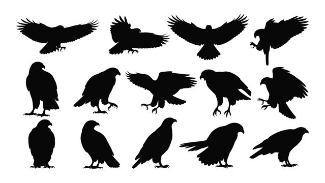 Black silhouettes of various ravens and crows