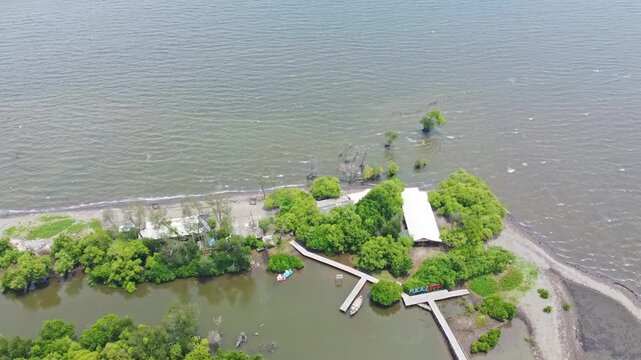 An aerial shot showing mangrove wetland and a modern urban cityscape with high-rise buildings and a highway. Great for projects on urbanization, real estate, Mangrove near city