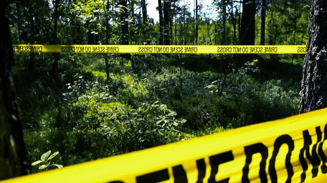 Yellow police tape reading Crime Scene Do Not Cross cordons off a wooded area as part of an ongoing criminal investigation, with a shallow depth of field focusing on the barrier