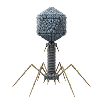 Bacteriophage T2 Virus Isolated Background