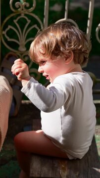 Toddler reaching toward parent while sitting outdoors in warm sunlight, joyful childhood moment expressing trust, curiosity, connection and family affection