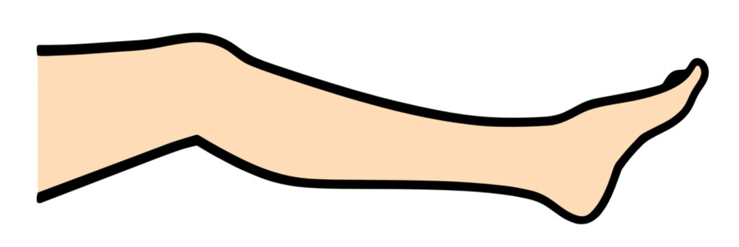 Single straight female leg shown in a horizontal lying position from side view with pointed foot. Minimalist flat cartoon vector with bold black outline and peach skin tone.