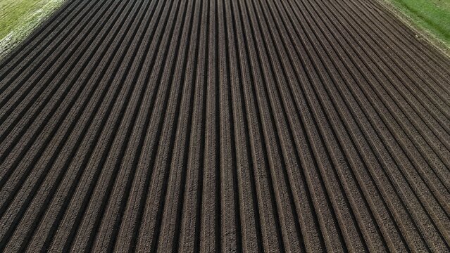 Aerial view of straight, dark furrows of earth in a plowed field.