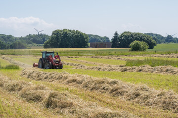 Fototapeta premium Red tractor raking hay on a sunny summer field