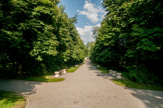 road in the park