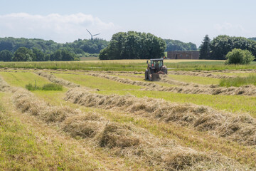 Fototapeta premium Red tractor raking hay on a sunny summer field