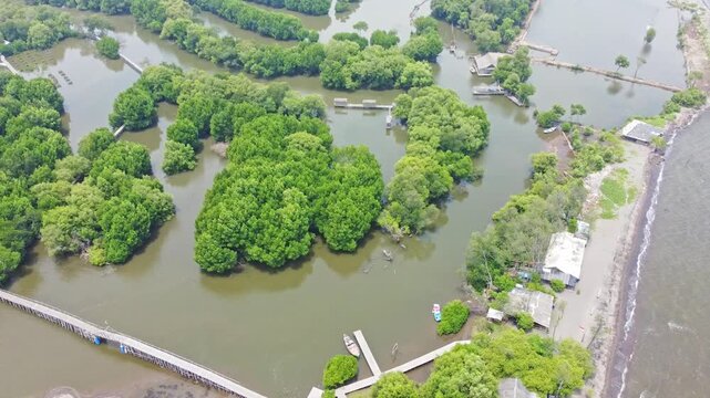 An aerial shot showing mangrove wetland and a modern urban cityscape with high-rise buildings and a highway. Great for projects on urbanization, real estate, Mangrove near city