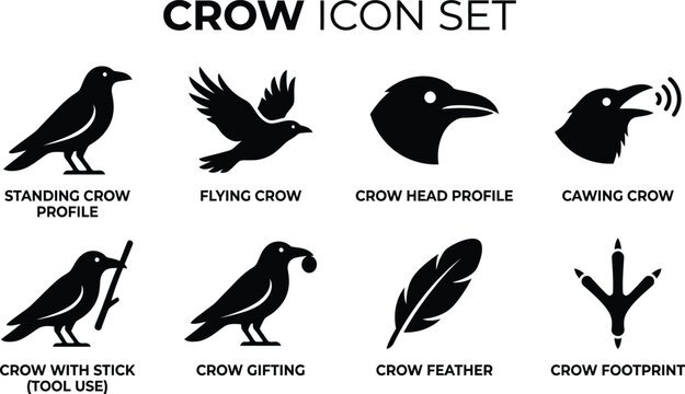 Black crow icon set for graphic design projects and wildlife themes