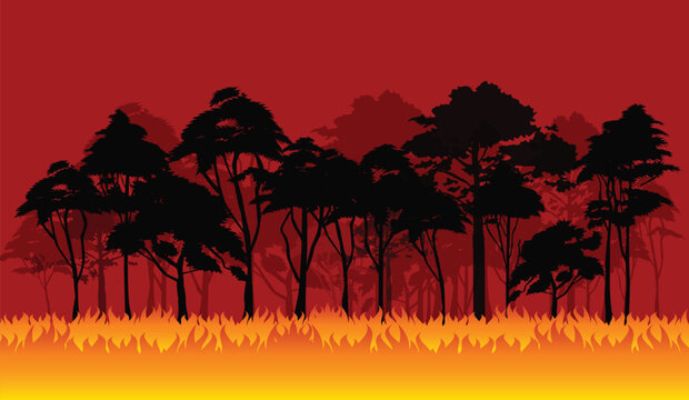 Forest Wildfire Disaster Background Illustration, vector design