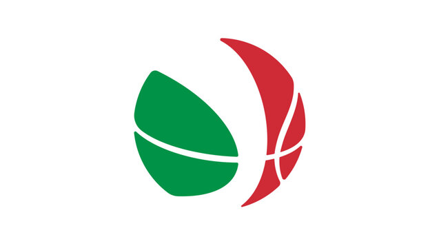 italy basketball flag, color vector illustration