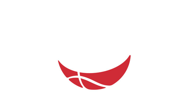 poland basketball flag, color vector illustration