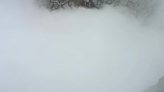 Downward camera revealing dense gray fog bank thickening on mountain talus, obscuring roots