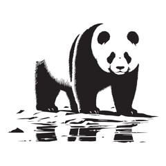Naklejka premium Panda,Giant Panda,Cute Panda,Baby Panda,Panda Cub,Adorable Panda,Funny Panda,Playful Panda,Happy Panda,Sleeping Panda,Eating Bamboo,Bamboo Lover,Gentle Giant,Furry Friend.