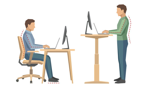 Ergonomic posture for sitting and standing workspace illustration