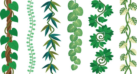 Decorative Hanging Tropical Vine Collection with Climbing Plants Cascading Leaves and Jungle Foliage Elements for Botanical Borders and Nature Designs © MstSuborna