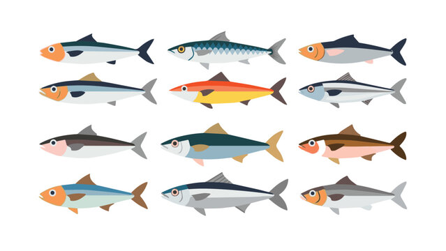 Diverse Fish Species Collection Displaying Various Colors and Sizes.