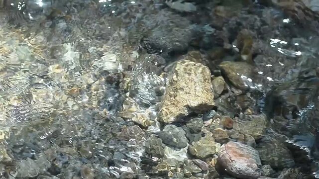 Clear water moves over a riverbed filled with stones and rocks sunlight sparkles on the water surface