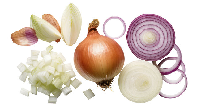 Whole and cut onions red onion rings diced white onion, and onion wedges