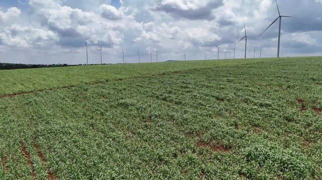 Drone footage captured above agricultural fields in Gia Lai Province, Vietnam. Filmed from a different aerial perspective, the footage documents expansive green farmland with wind turbines visible