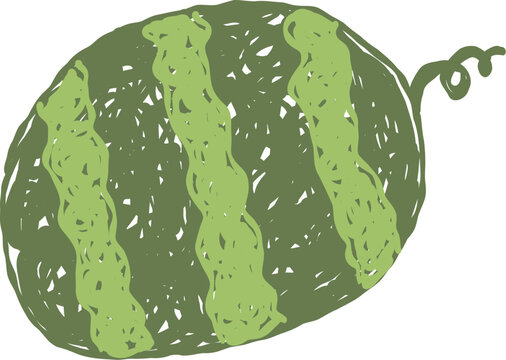 vector illustration of a watermelon 