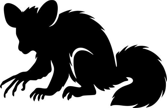 Aye aye prosimian silhouette black icon.