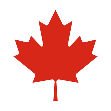 Maple leaf icon, symbol of Canada