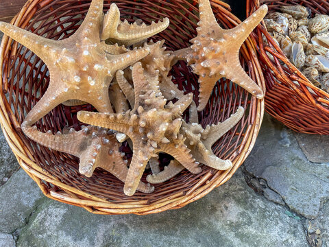 Horizontal top down close up shot of a group of dried brown starfish with bumpy spiky textures piled inside a woven wicker basket displayed at a souvenir shop