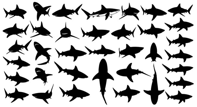 Collection of Various Shark Silhouettes Showing Different Poses and Perspectives